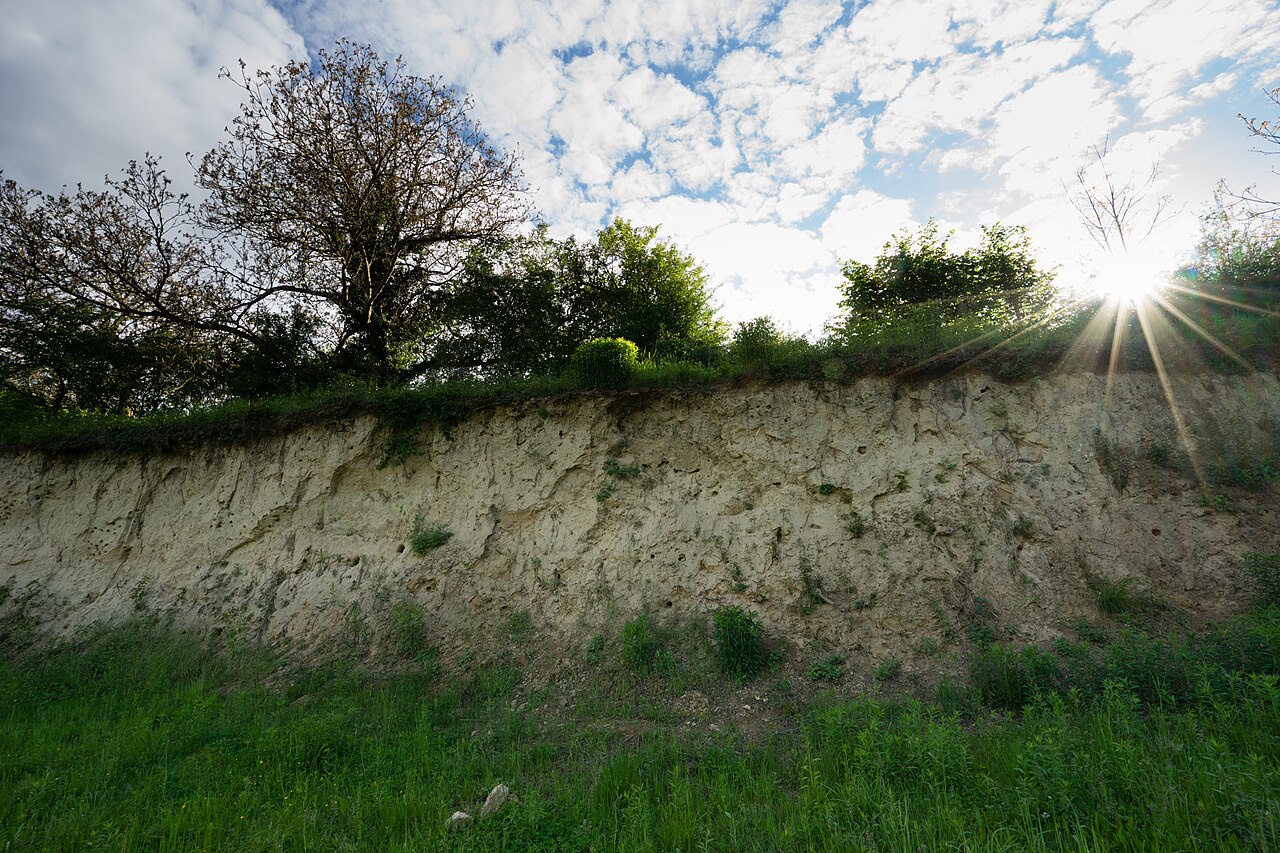 Naturschutzgebiet Lehmgrube am Heulenberg