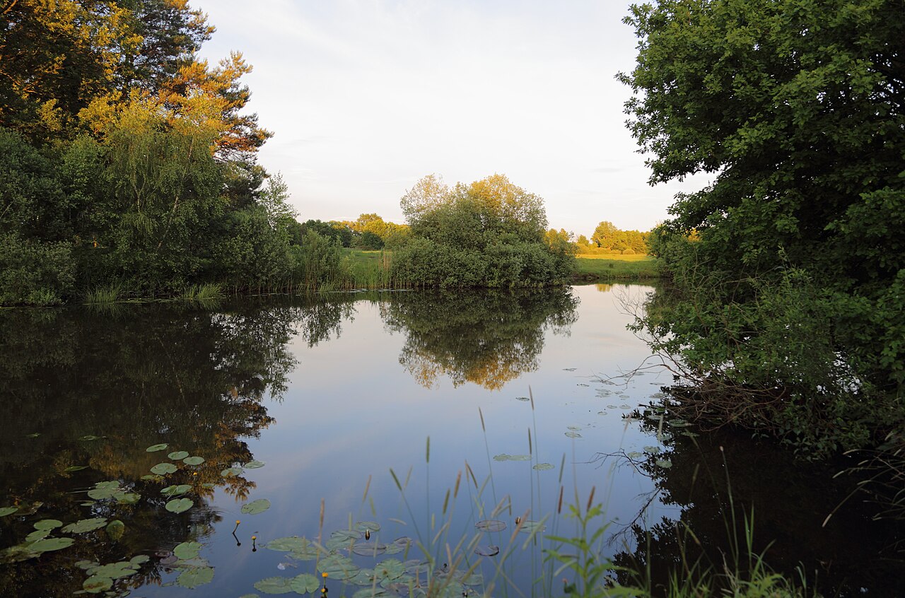 The nature reserve Lehnigksberg north of Lübben , Landkreis Dahme-Spreewald , Brandenburg , Germany