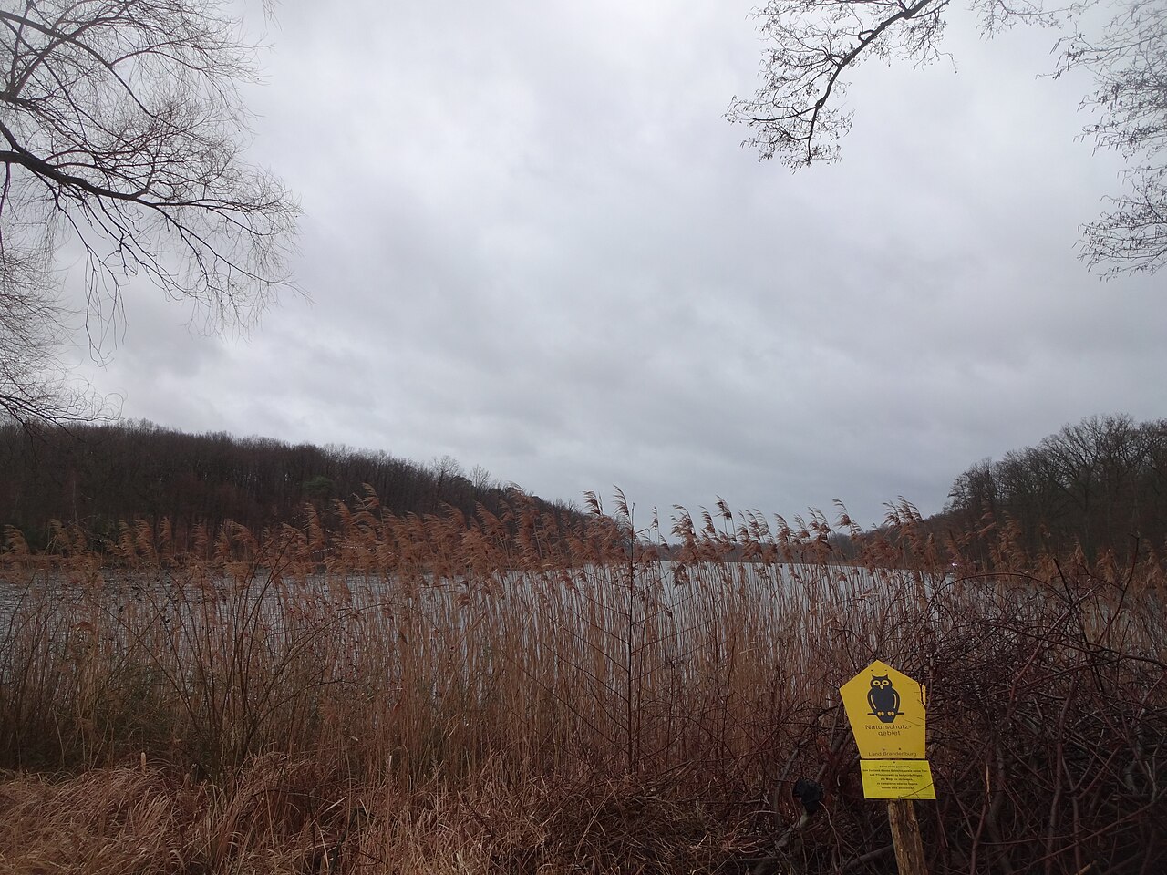 Gohlitzsee zwischen Rädel und Lehnin