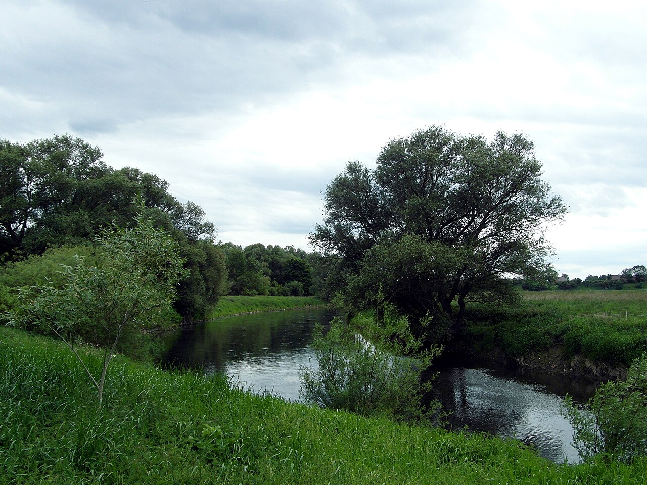 Die Leine bei Koldingen am Rand des Naturschutzgebiets HA 203 Leineaue zwischen Ruthe und Koldingen