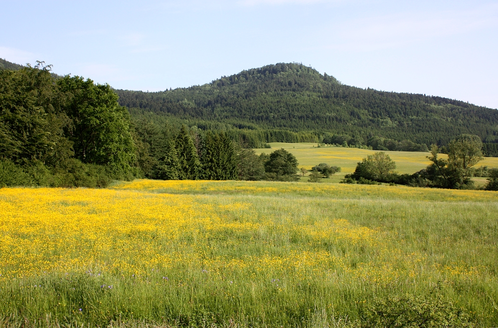 Lemberg (1015 m)