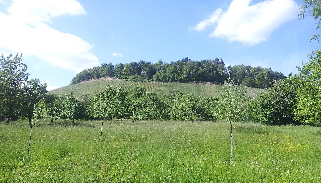 The Lemberg, a hill near Affalterbach (which is a village east of Ludwigsburg, Germany)