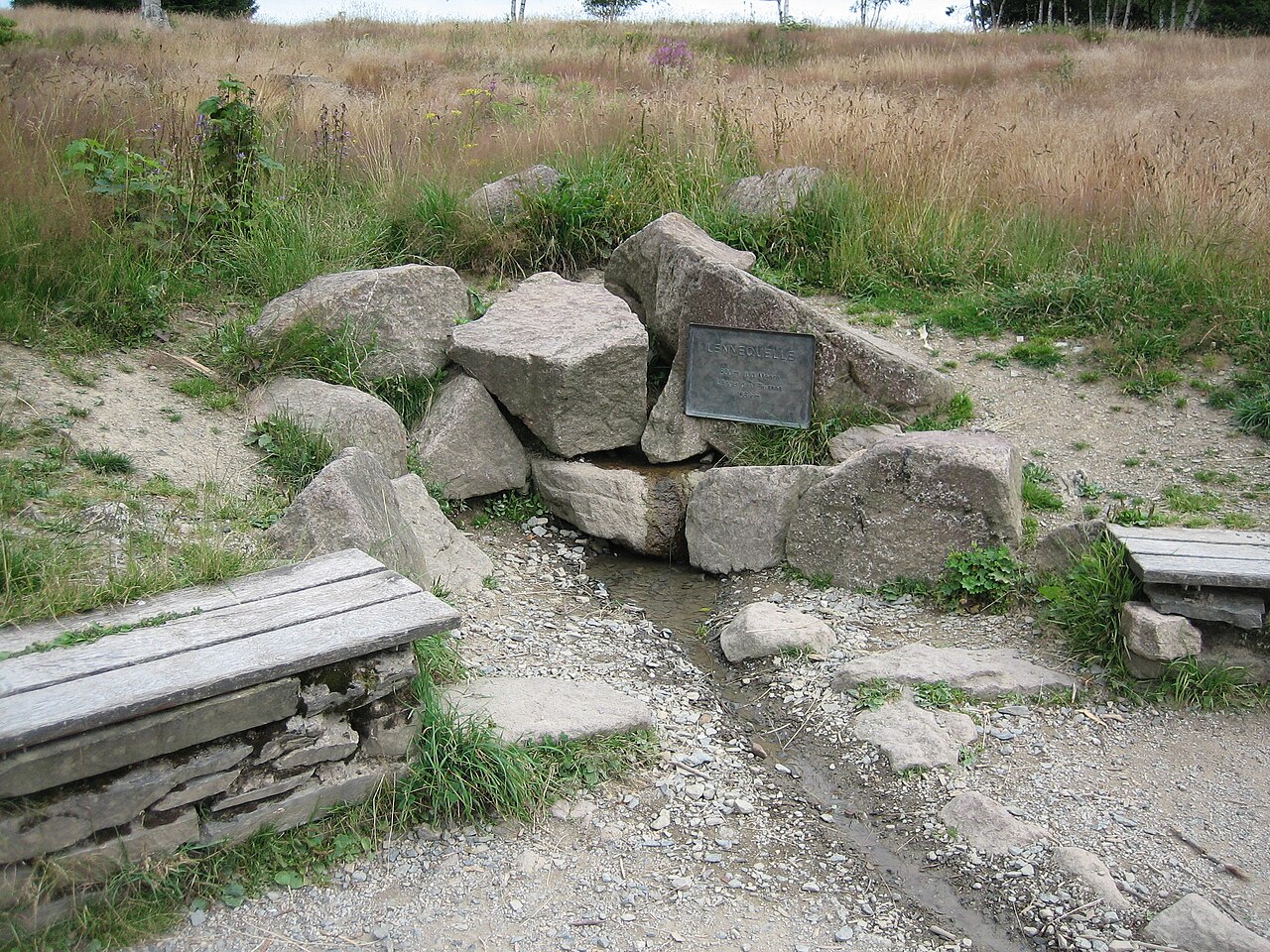 Quelle der Lenne auf dem Kahlen Asten bei Winterberg