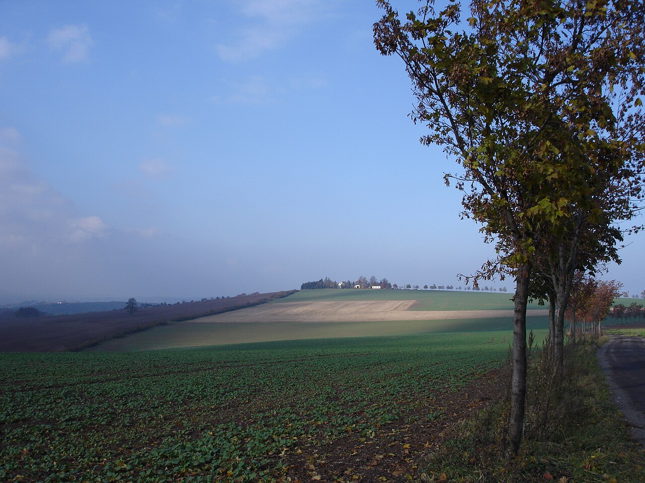 view to mountain Lerchenberg near Dresden, Saxony, Germany