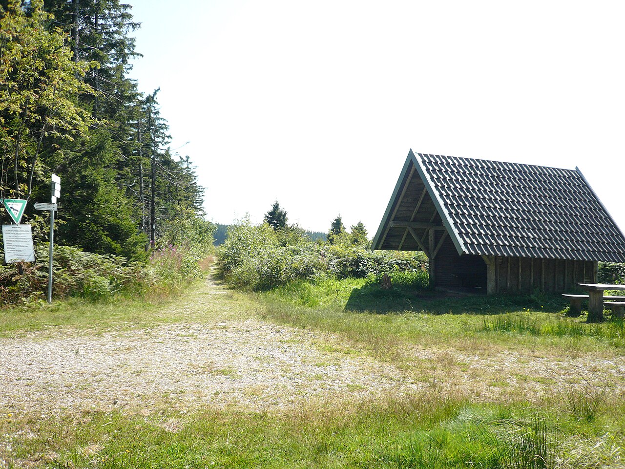 Mountain Lettstaedter Hoehe in Black Forest