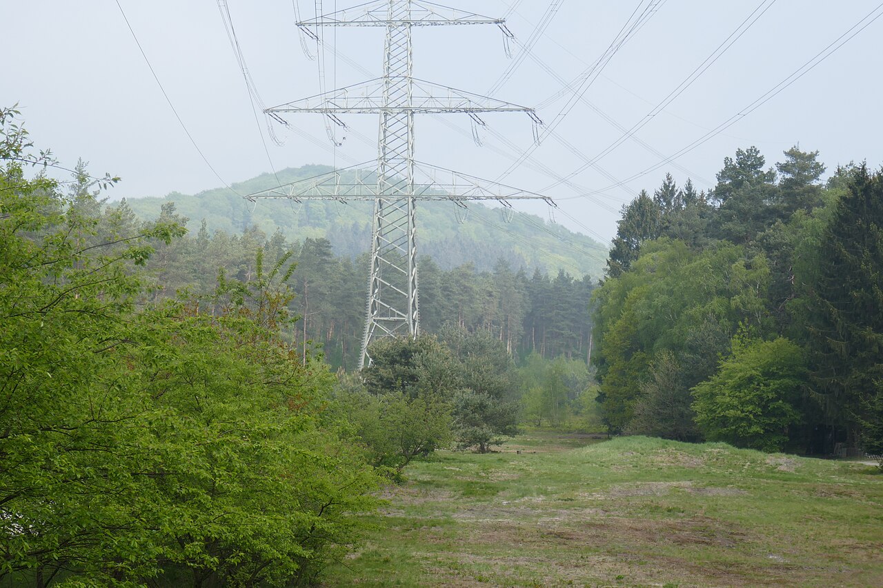 Naturschutzgebiet Markengrund in Bielefeld