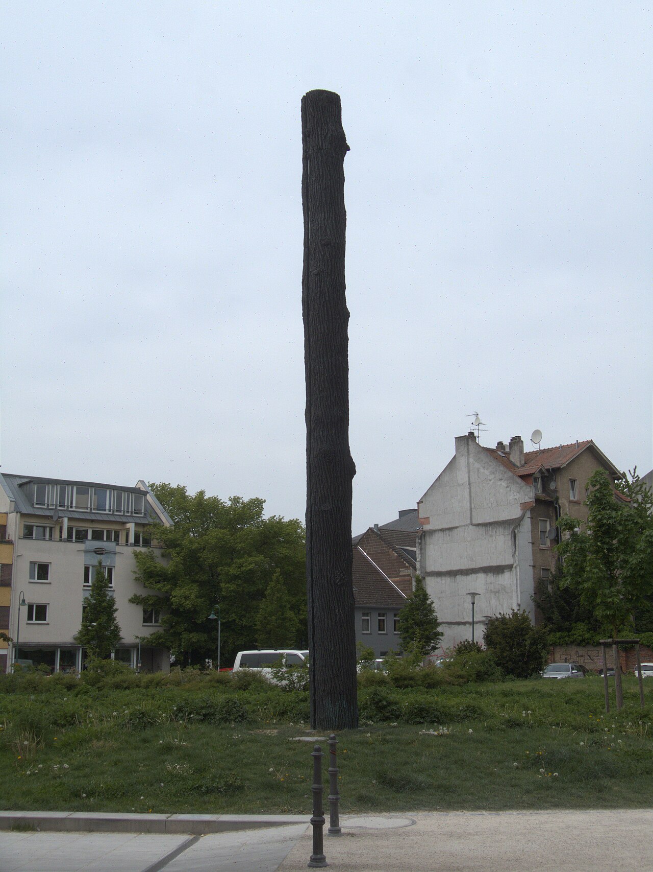 Vera Röhm: „Licht-Strahl-Eiche“ in 2018