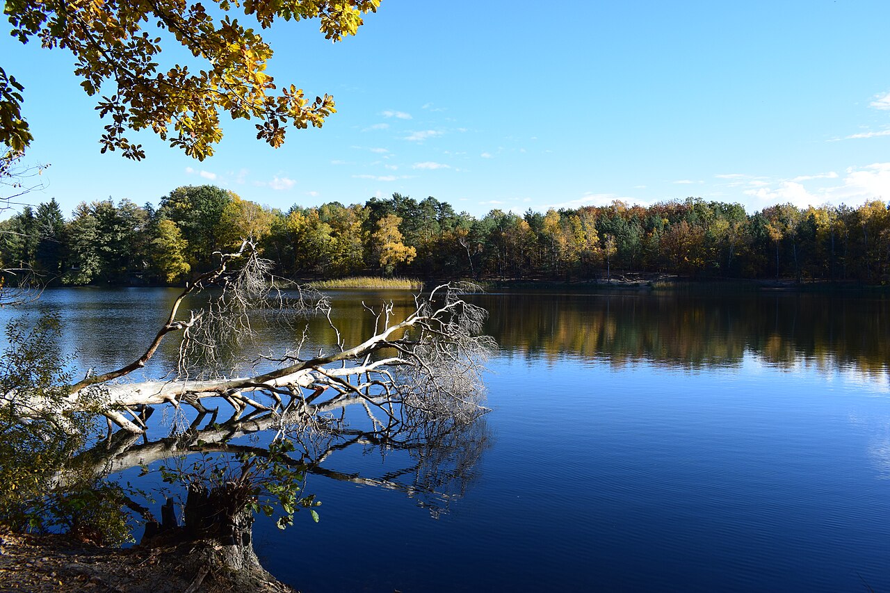 Kleiner Lienewitzsee bei Michendorf, Brandenburg