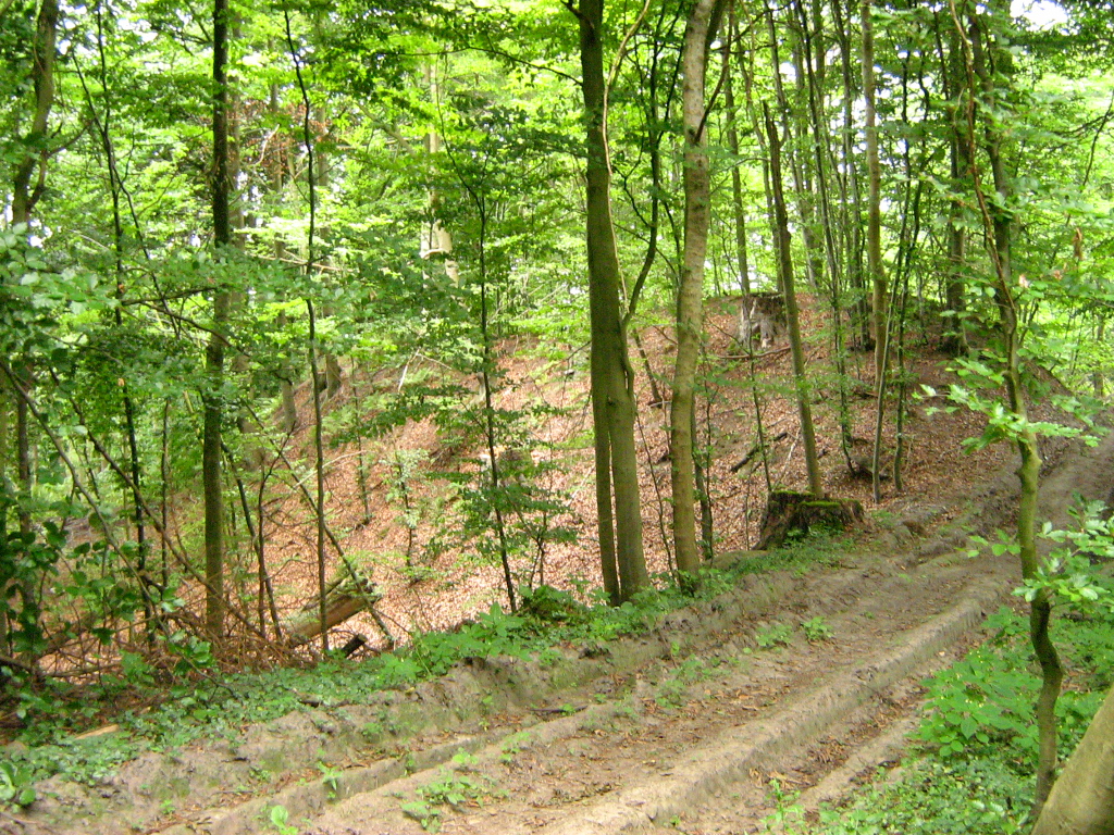 Die Lieper Burg ist ein Burgwall in der Gemeinde Thelkow im Landkreis Bad Doberan (Mecklenburg)