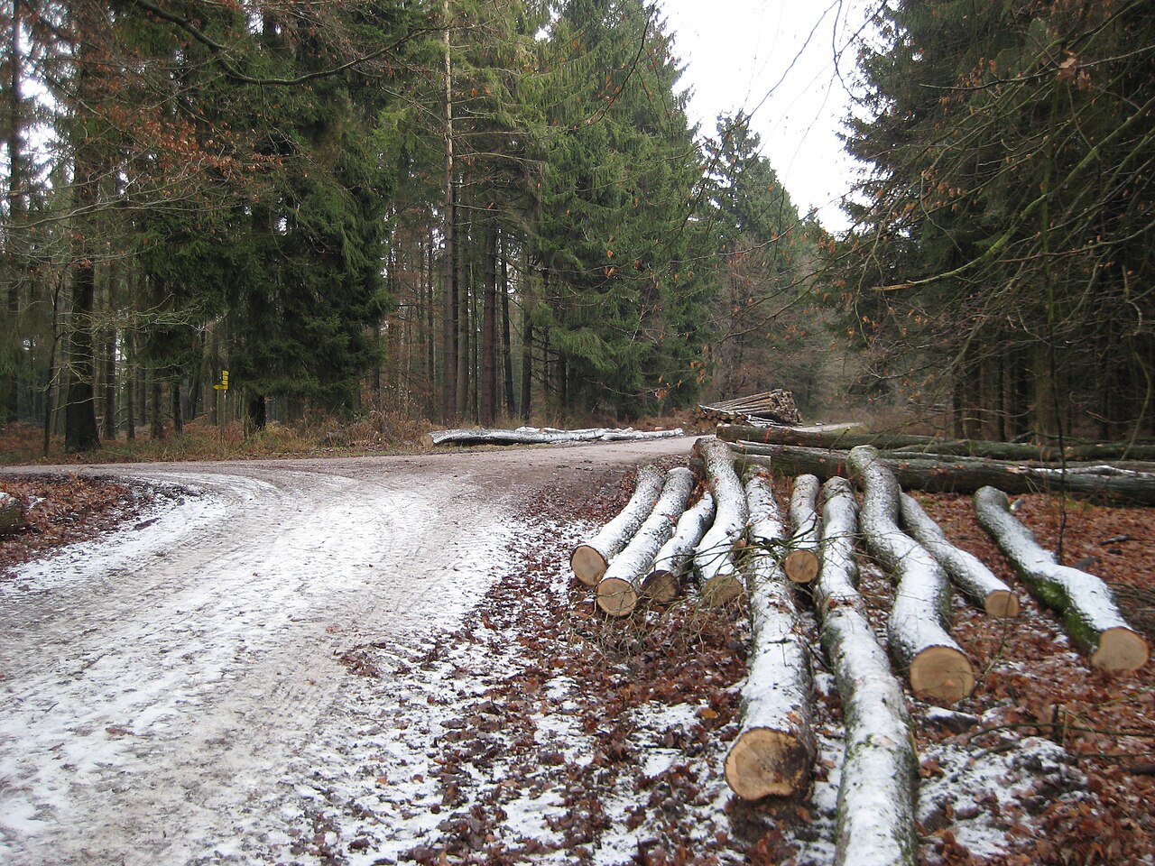 Foto von Limberg