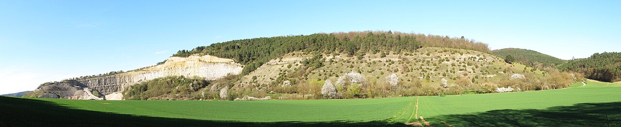 Lindenberg (Naturschutzgebiet 1
