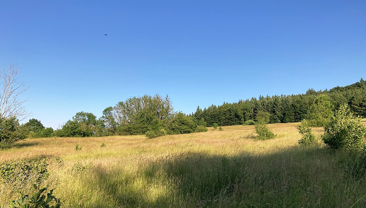Lindenfeld (Naturschutzgebiet in Baden-Württemberg bei Schwäbisch Gmünd OT Bettringen)