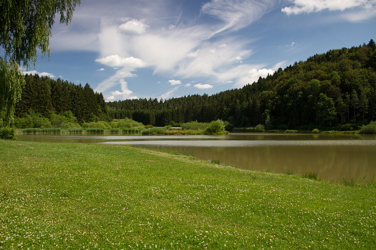 Nature experience at Linsenbergweiher in 78628 Rottweil, Germany