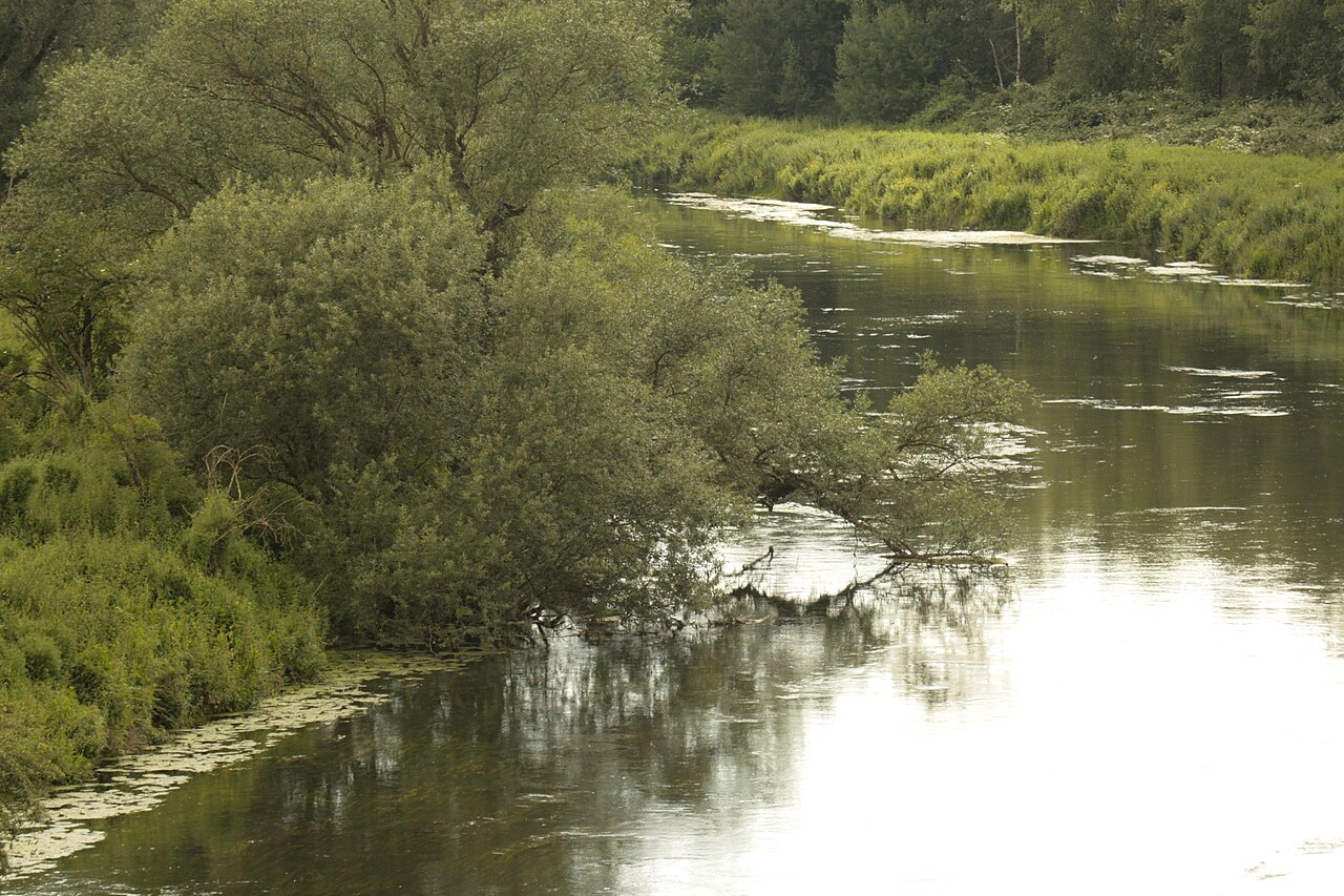 Uferzone der Lippe, Naturschutzgebiet Lippeaue, Lünen / Höhe Brücke Zwolle Allee / Im Mersche