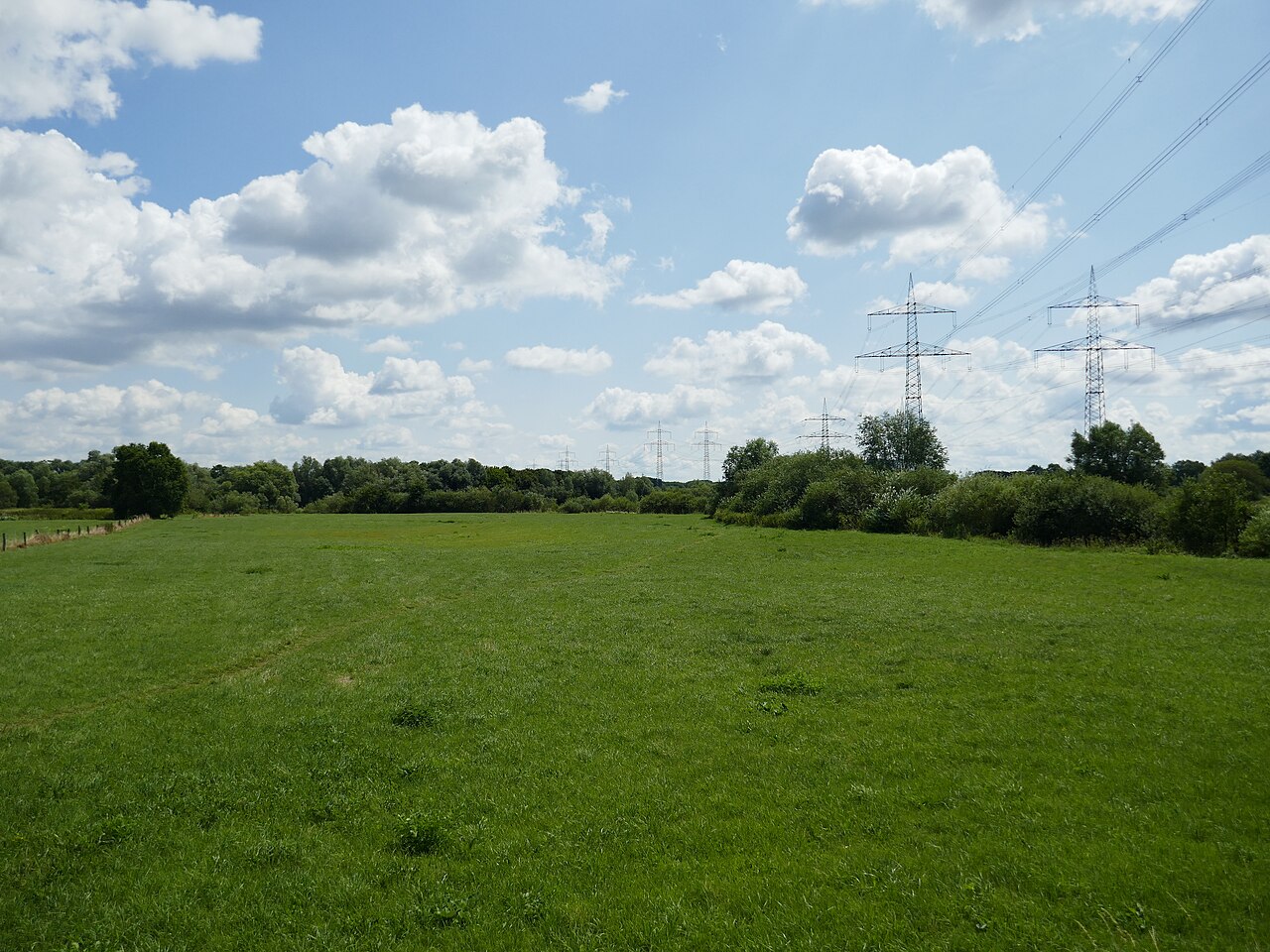 Naturschutzgebiet „Lippeaue zwischen Dolberg und Uentrop“