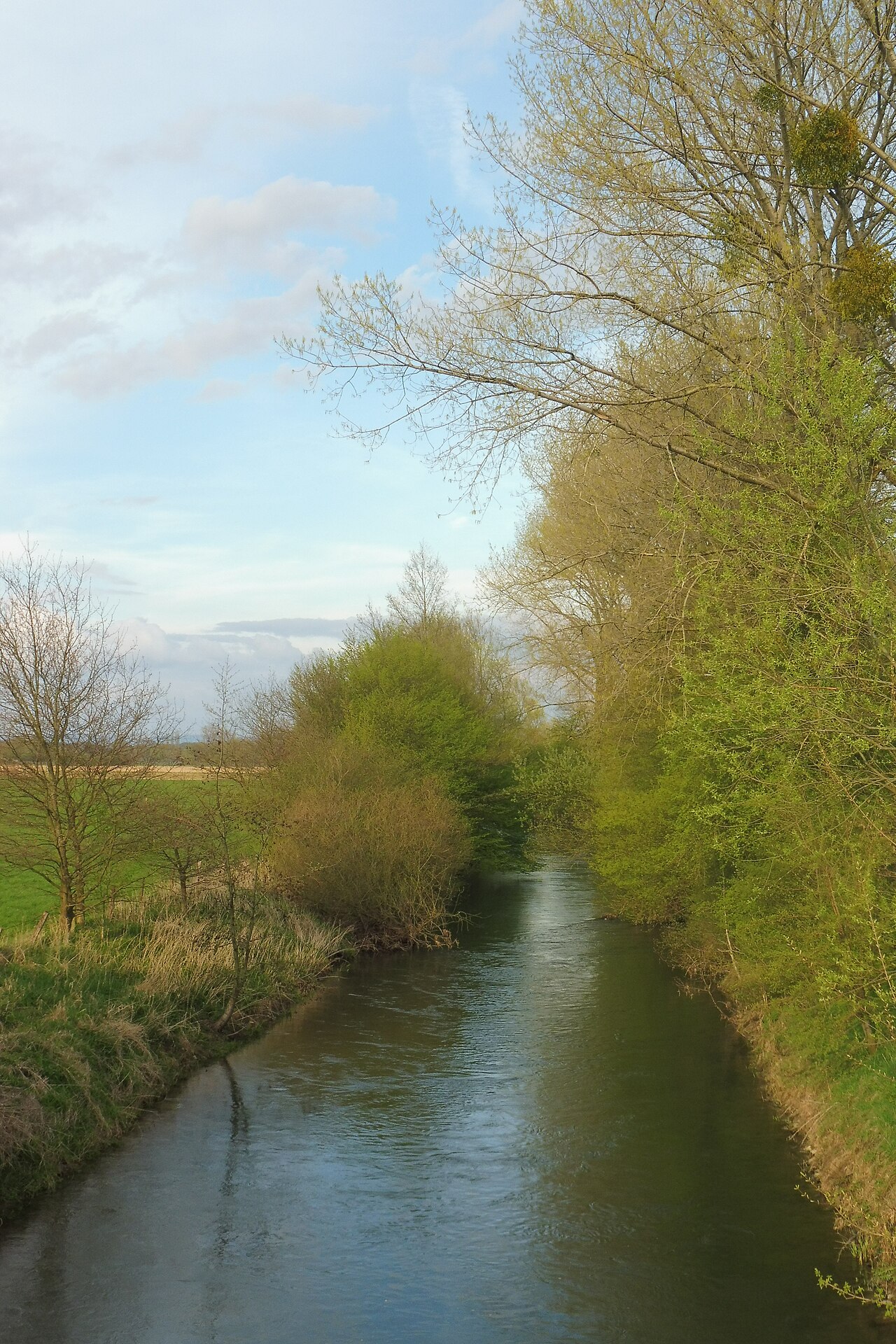 Naturschutzgebiet Lippeniedrung II - Anreppen