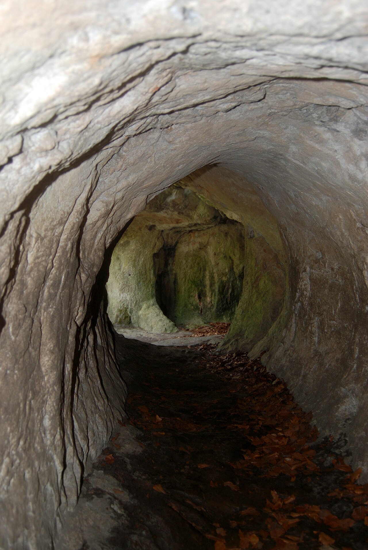 ND Lippoldshöhle - Tunnel (3)