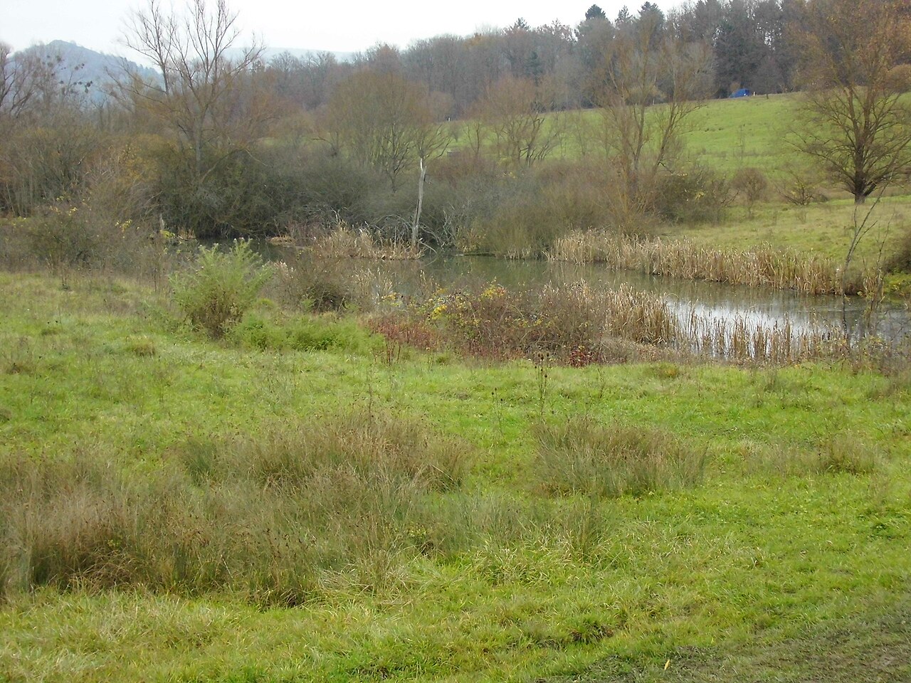 Blick von der Beobachtungsplattform im Südwesten des Naturschutzgebiet Listhof (Nr