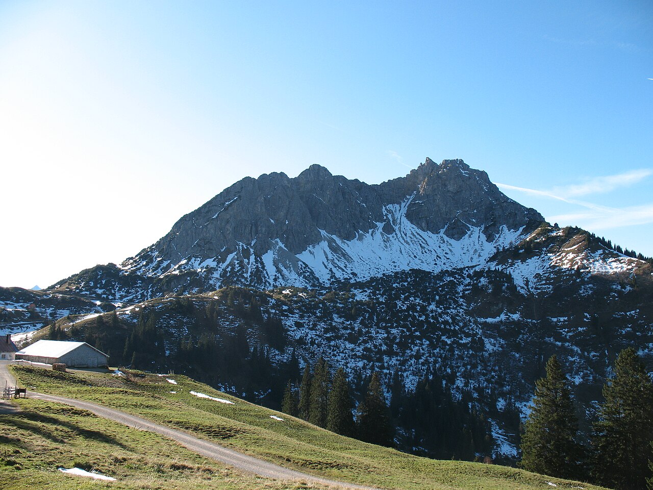 Blick über die Nesselwängler Ödenalpe (1680 m) auf die Nordflanke des Litnisschrofen (2068 m)