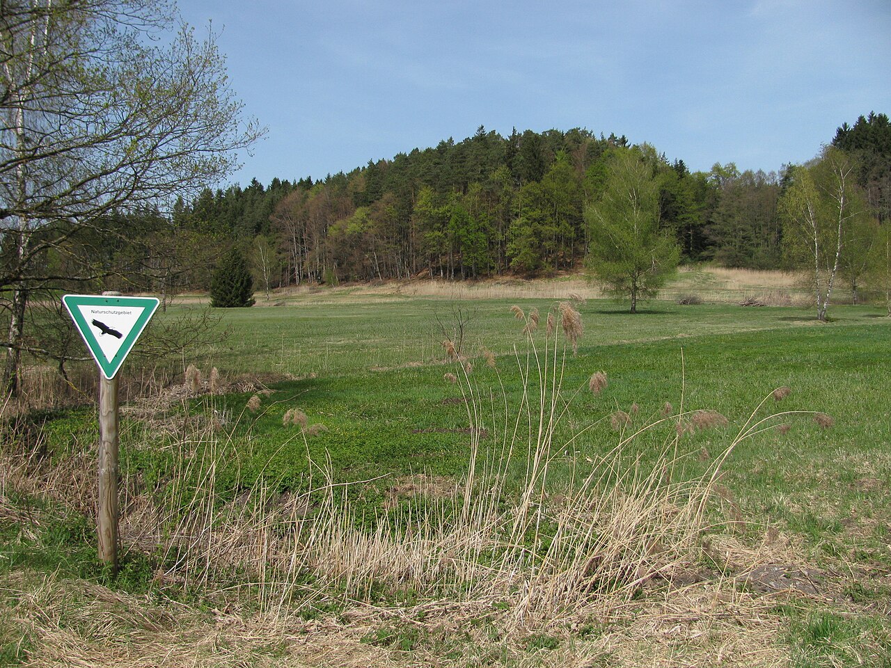 Germany - Baden-Württemberg - Bodenseekreis - Tettnang: nature reserve "Loderhof-Weiher"