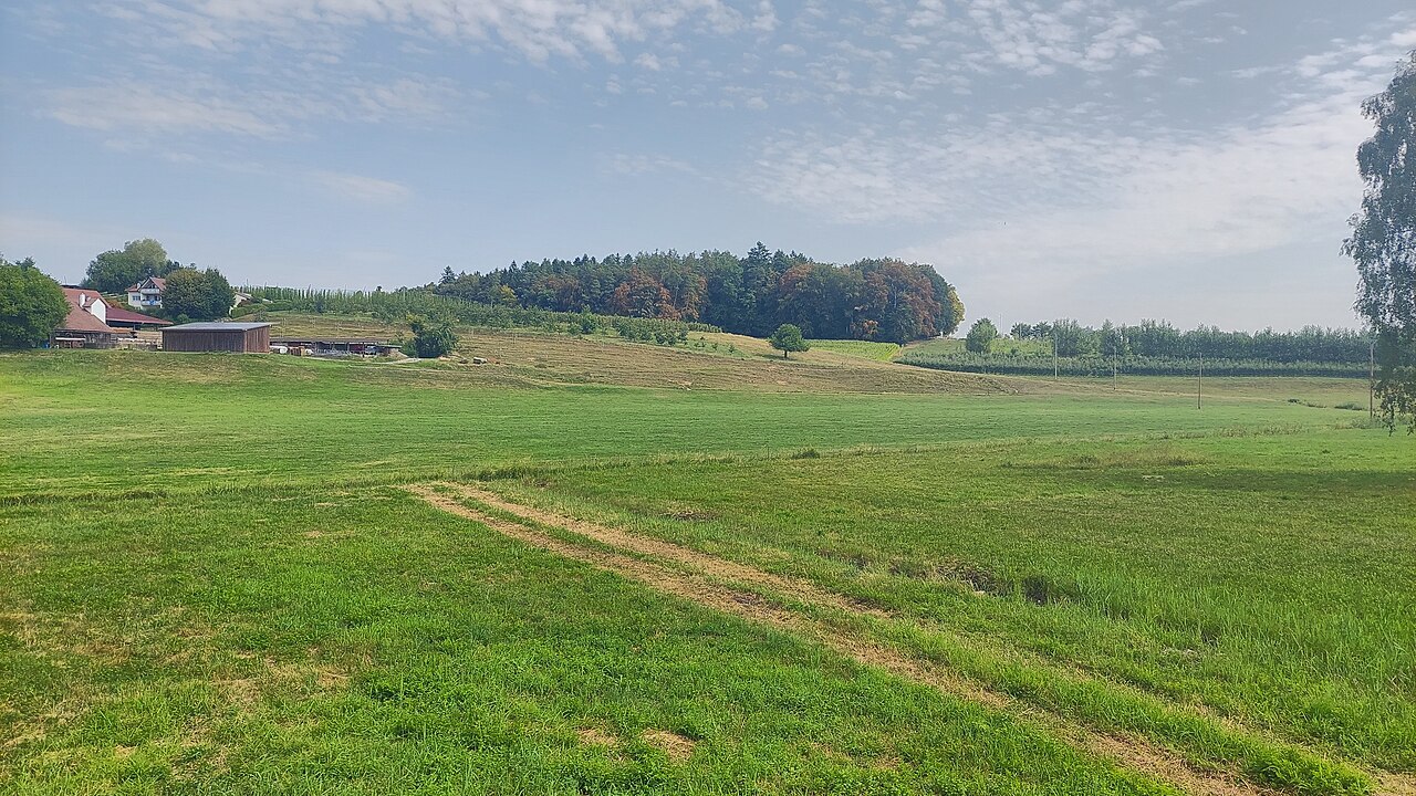 Löschenberg in the municipality of Kressbronn am Bodensee, view from south