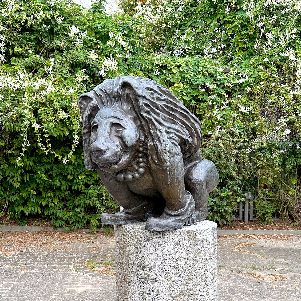 Foto von Löwe