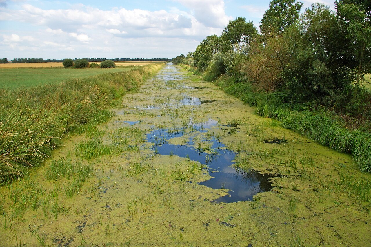 Ditch/canal "Lüchower Landgraben" in northern Germany