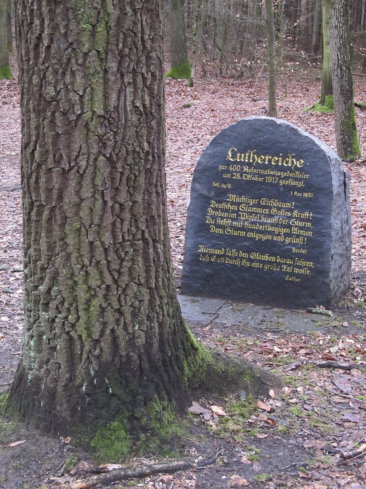 Luthereiche, Dresdner Heide, Dresden, Gedenkstein