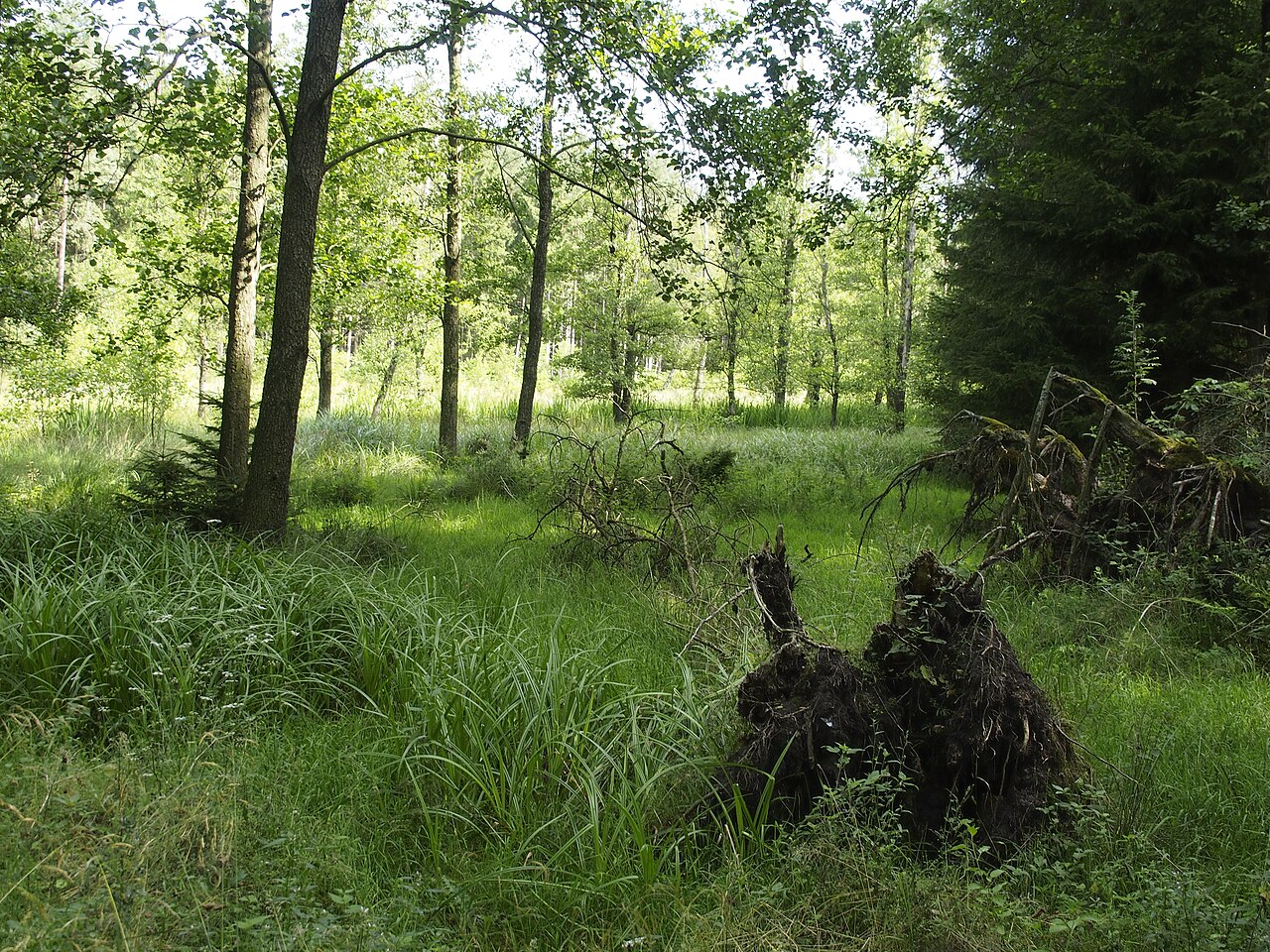 Naturschutzgebiet Tal der Lutter