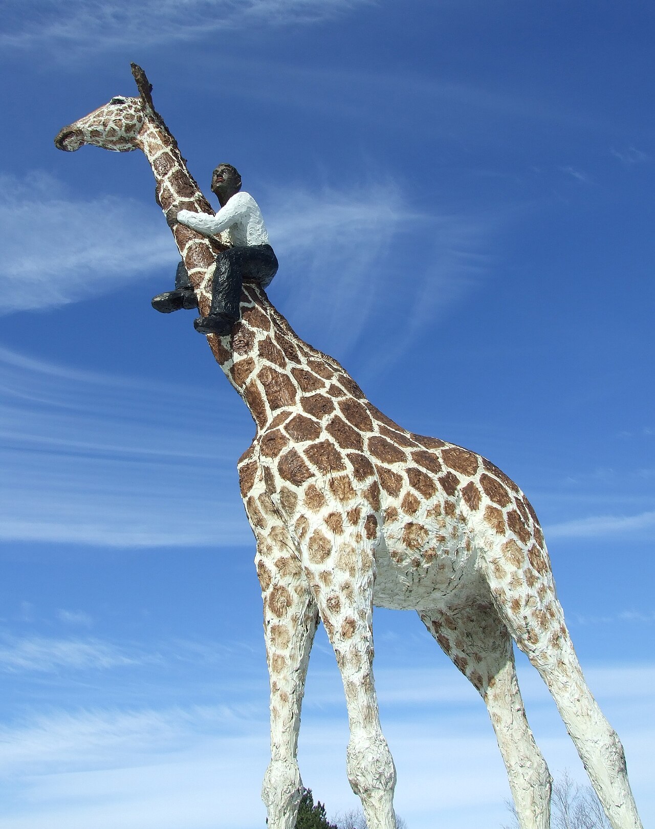 Man on Giraff