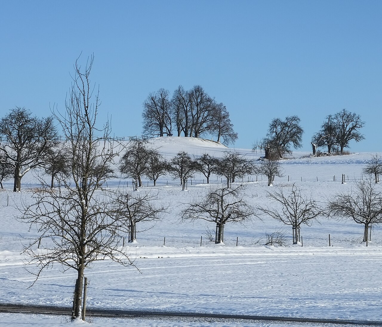 Place of the vanished castle Margarethenberg, Salem-Buggensegel, county Bodenseekreis, Germany