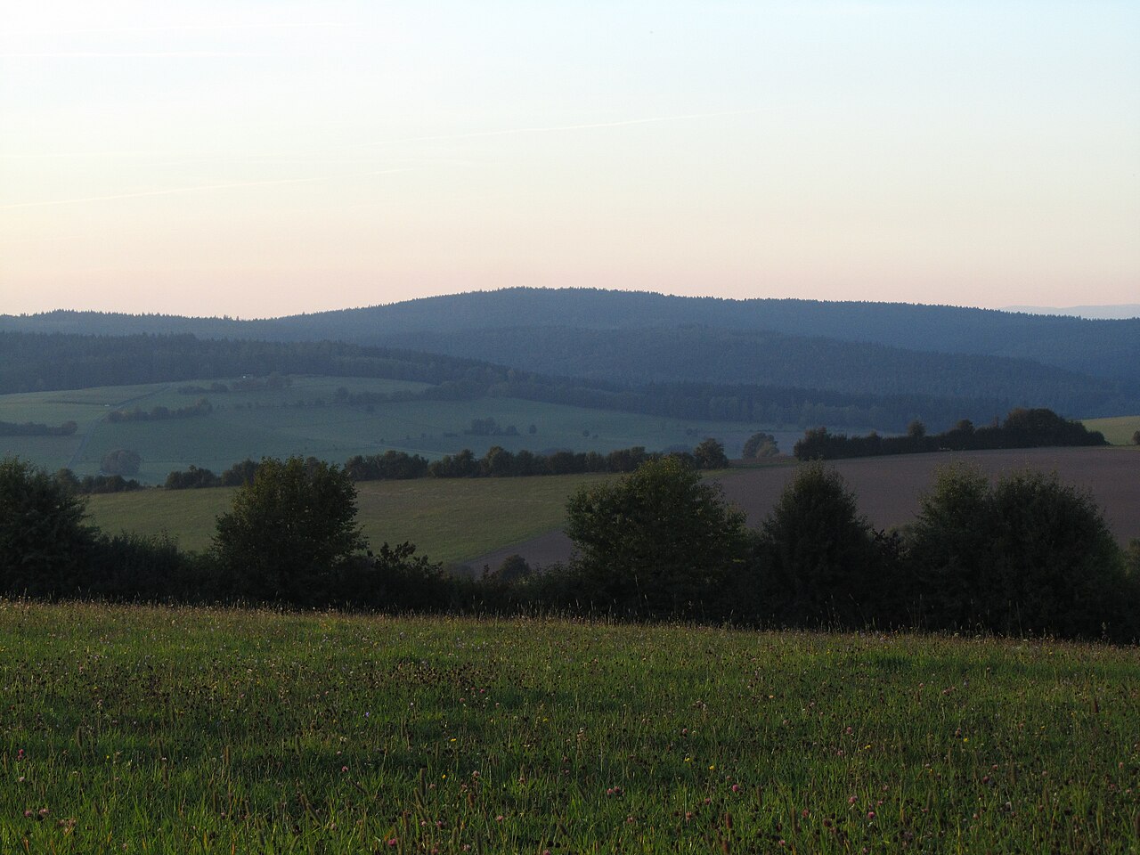 Der Markberg im Spessart von Südosten