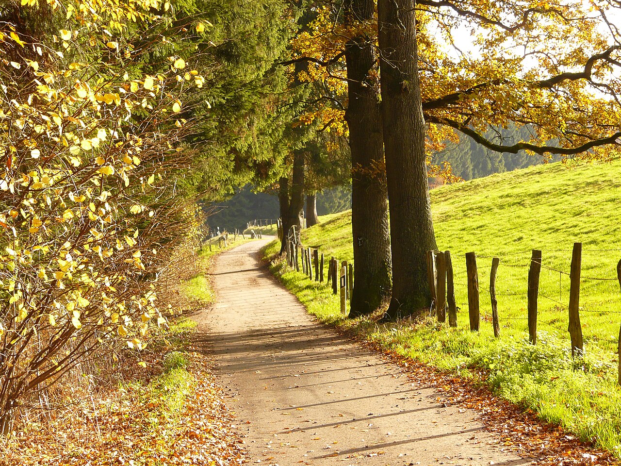 NSG W-005 Marscheider Bachtal: Wanderweg