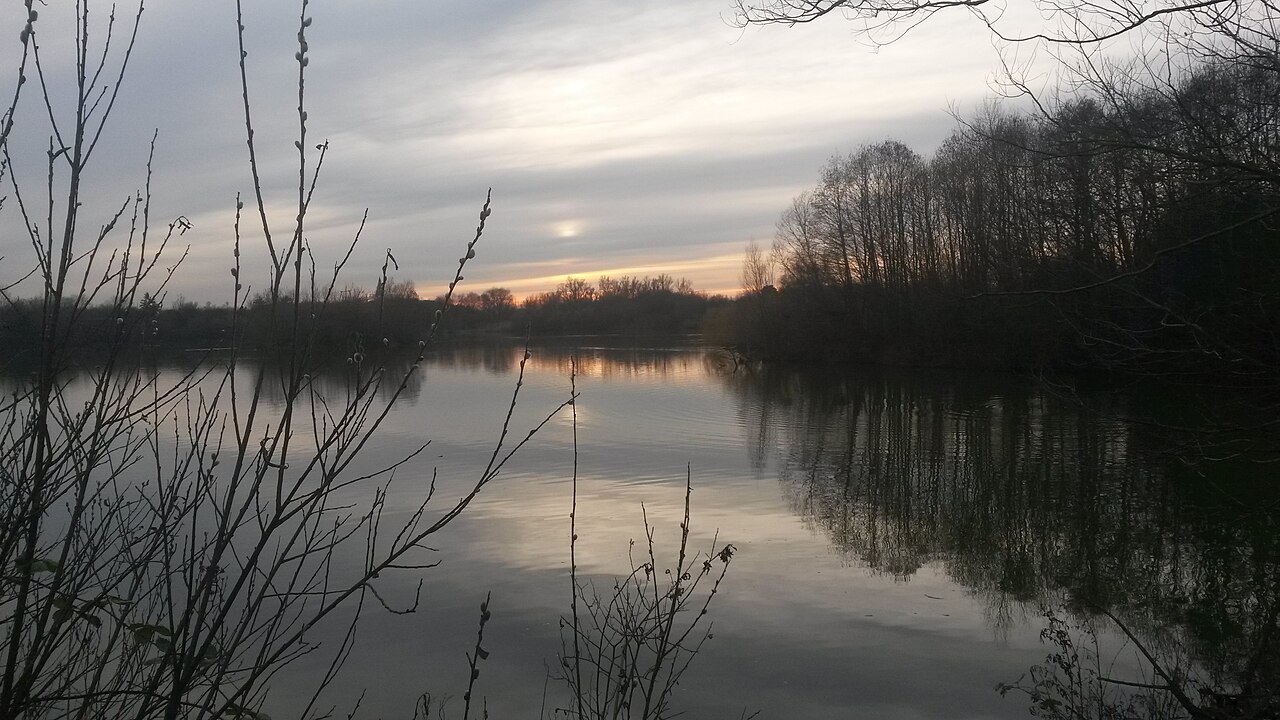 Naturschutzgebiet „Massenheimer Kiesgruben“ (NSG 1436004) in Hochheim am Main