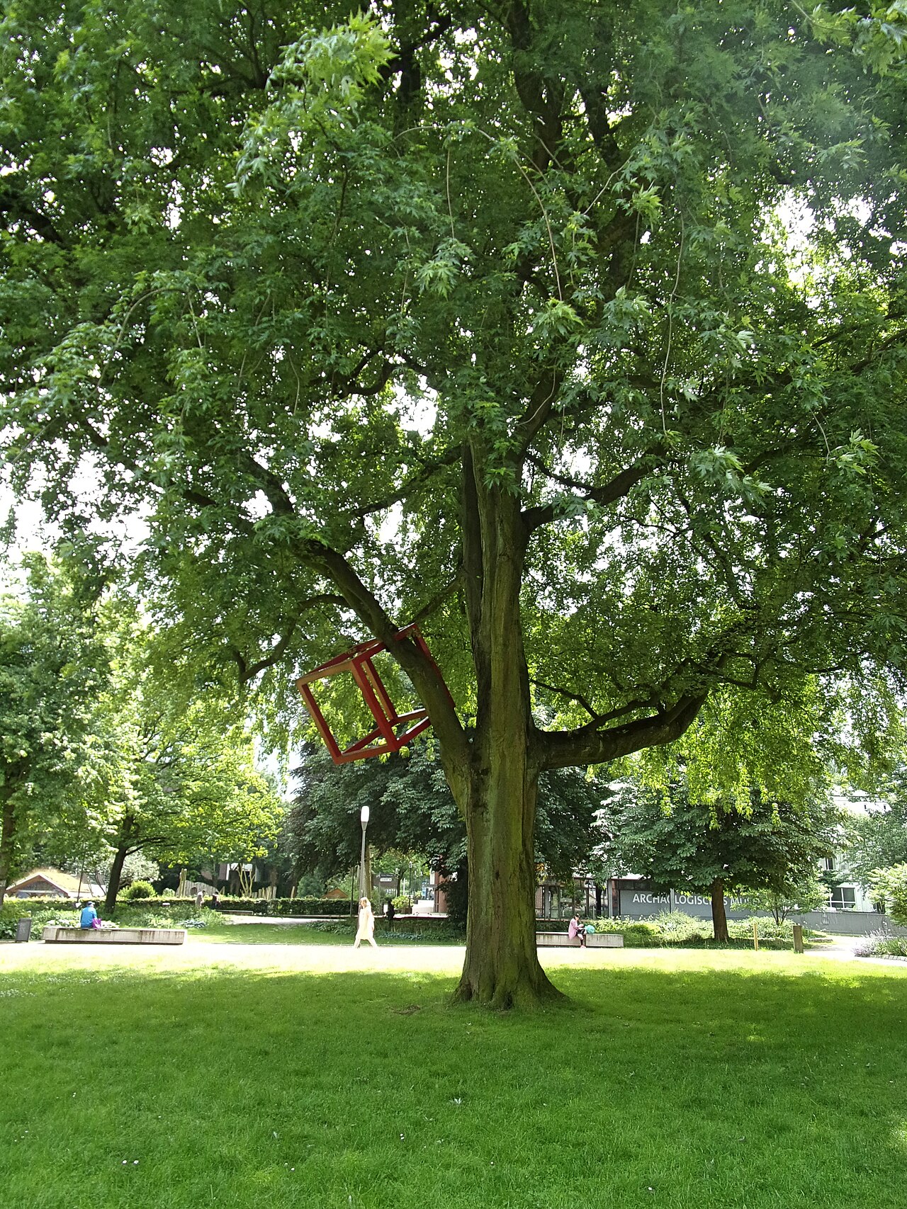 Cube And Trees , 2014, von HD Schrader