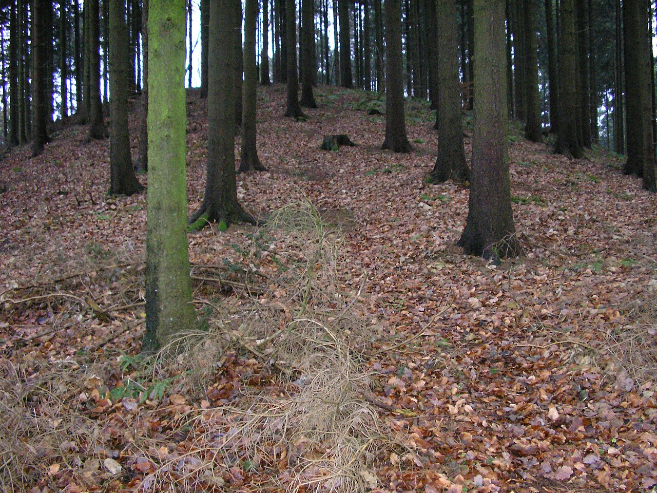 Falk Oberdorf Pfad auf den Gipfel des Meesenkopf