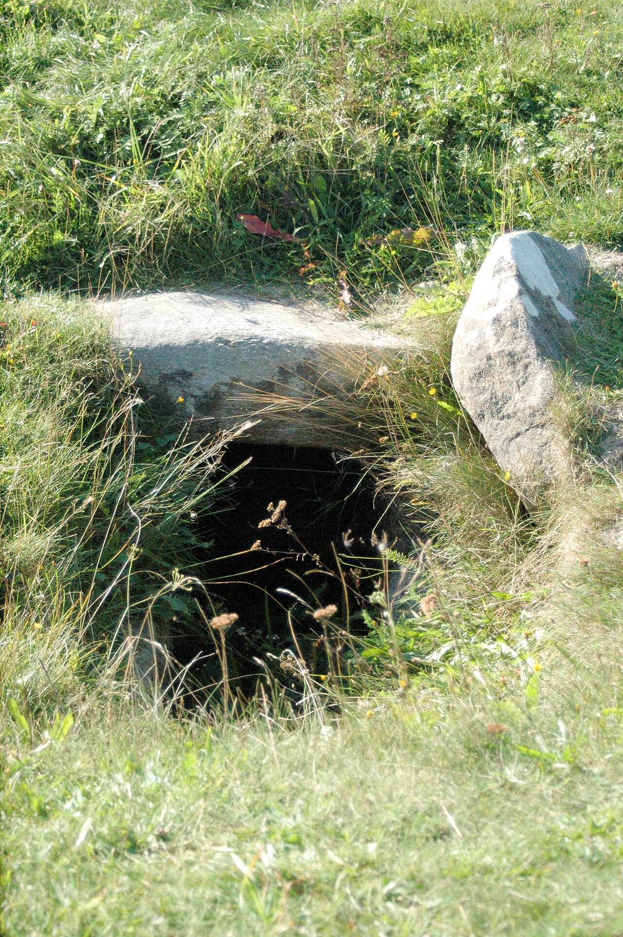Megalithgrab Sunberig,Utersum,Föhr,Nordfriesland