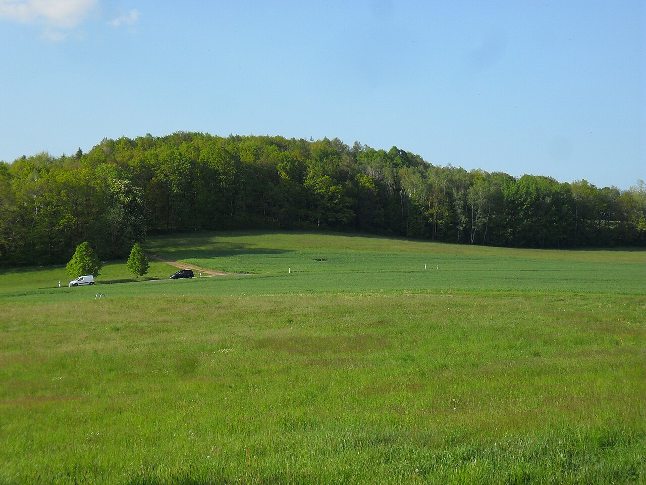 Mehltheuerberg im Mai festgehalten