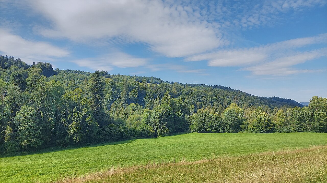summit Menelzhofer Berg in the municipality of Isny im Allgäu