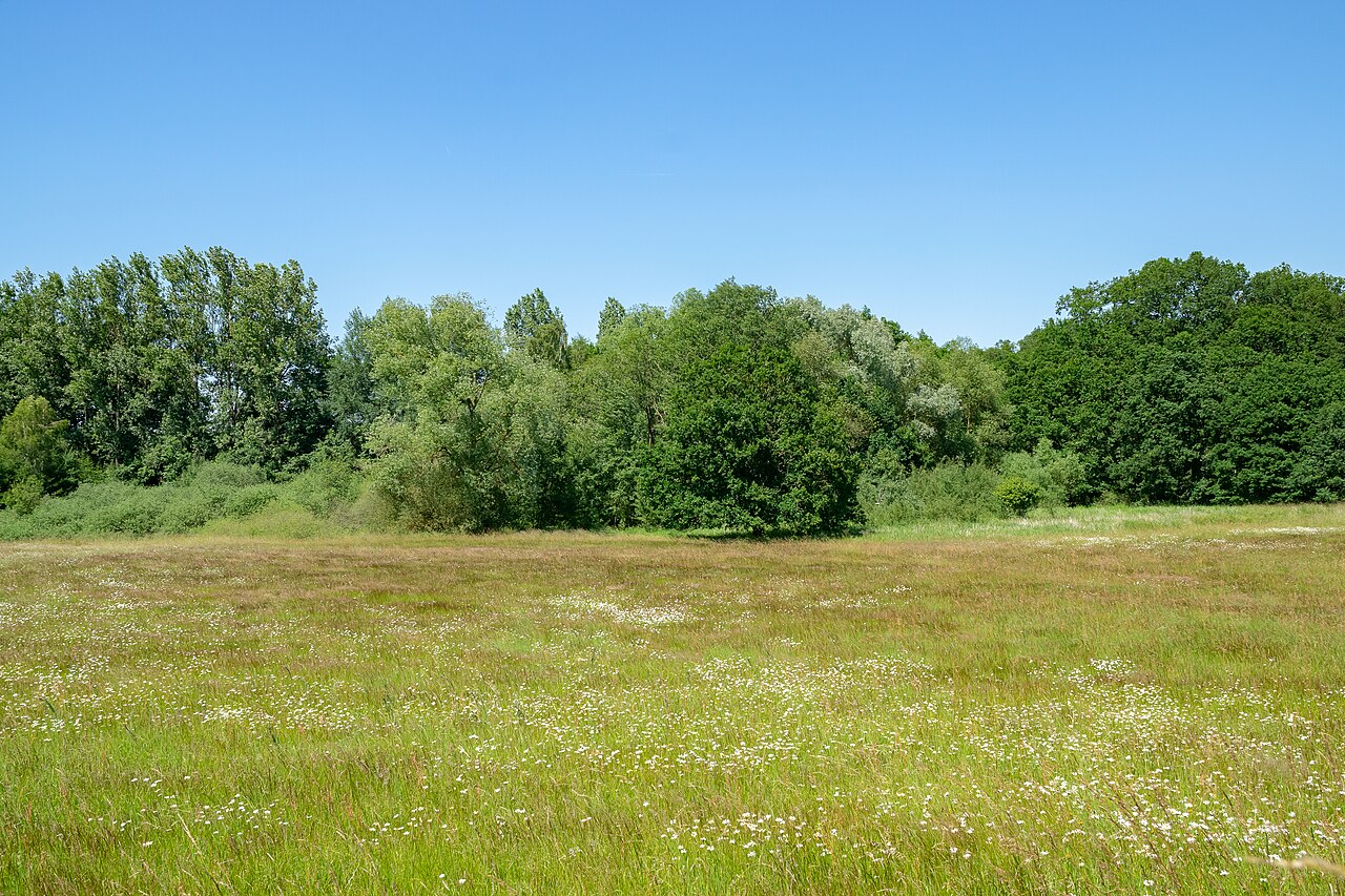 Naturschutzgebiet Menner Seihe zwischen Nörde und Hohenwepel, Warburg, Kreis Höxter