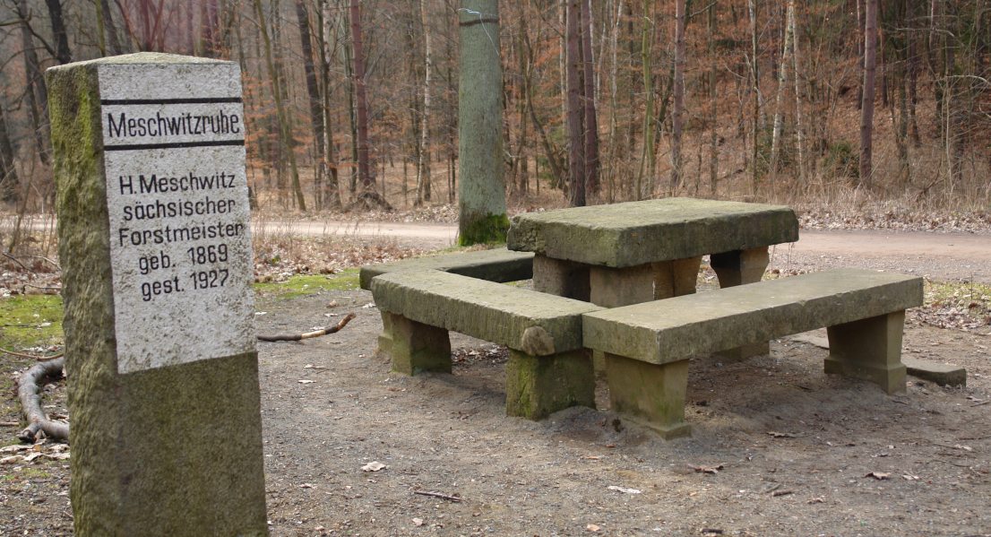 Meschwitzruhe in der Dresdner Heide