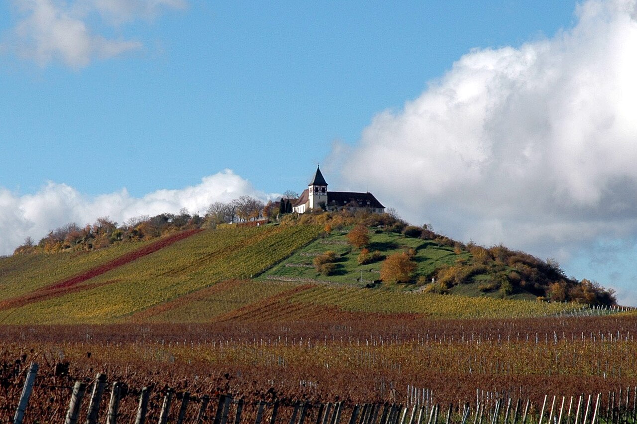 Michaelsberg near Cleebronn