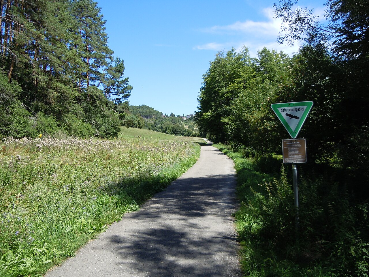 Mindersbacher Tal - Blickrichtung Nordost