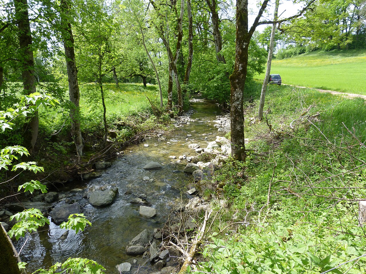 River Mionne at the place "Moulin de Villard" at Saint-Martin