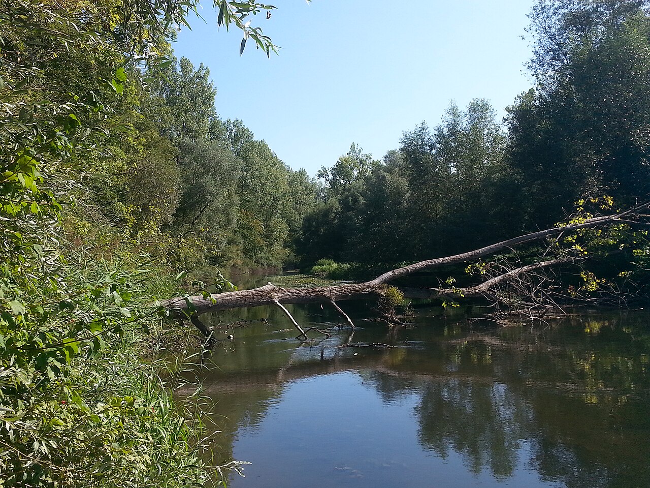 Mühlbach (Rench) im Naturschutzgebiet Mittelgrund Helmlingen