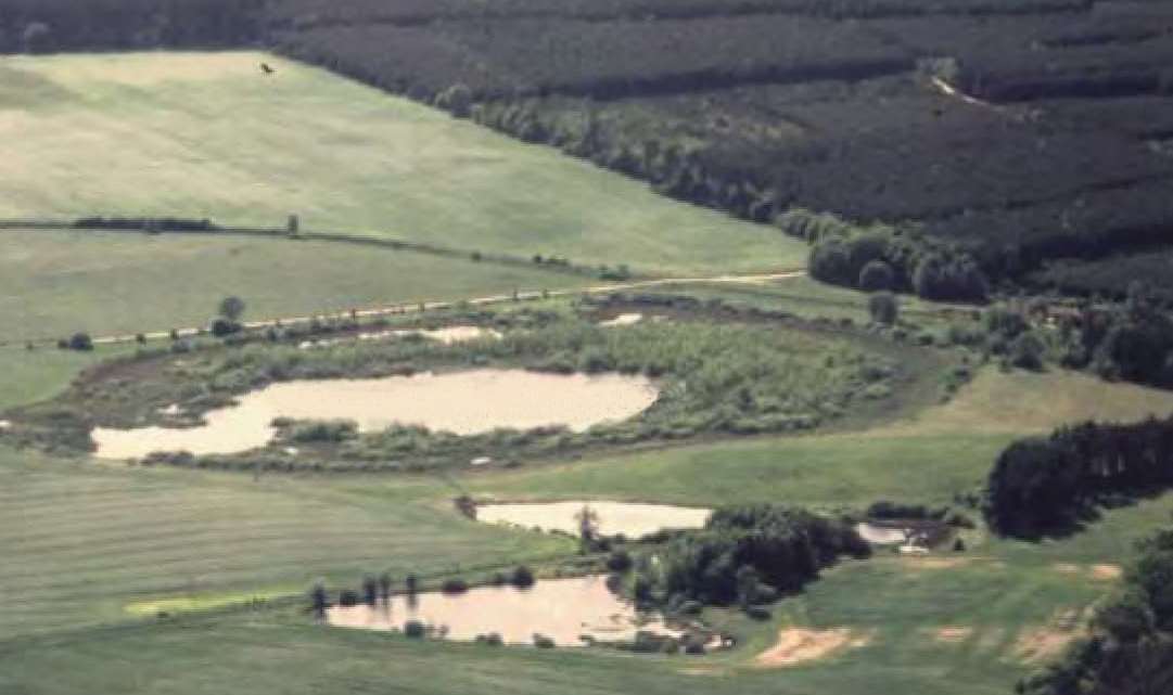Luftbild vom Mittelsee bei Langwitz
