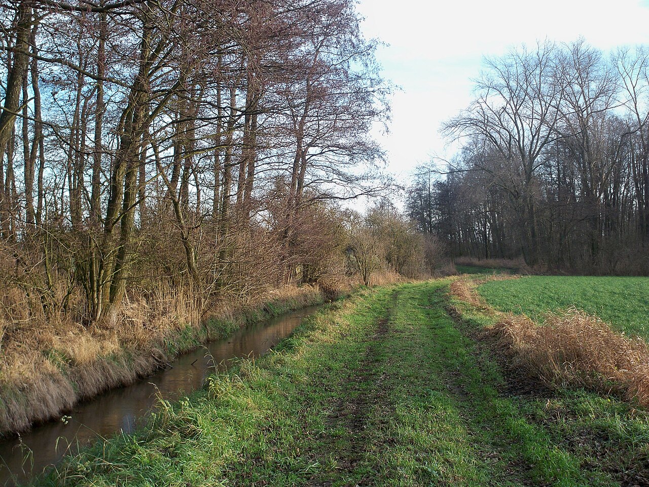 Zasenbeck (Lower Saxony), nature reserve Mittlere Ohreaue (right) with Ohre river and nature reserve Ohreaue (left)