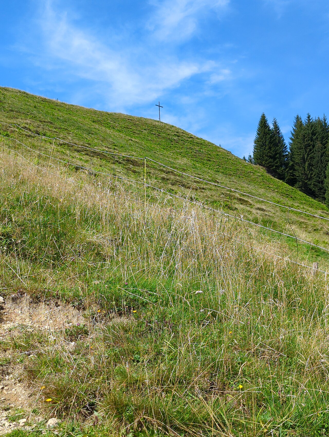 Mittleres Hörnle (Berg in Deutschland)