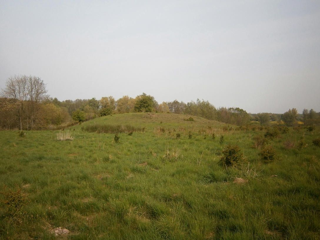Turmhügel auf dem Mörderberg