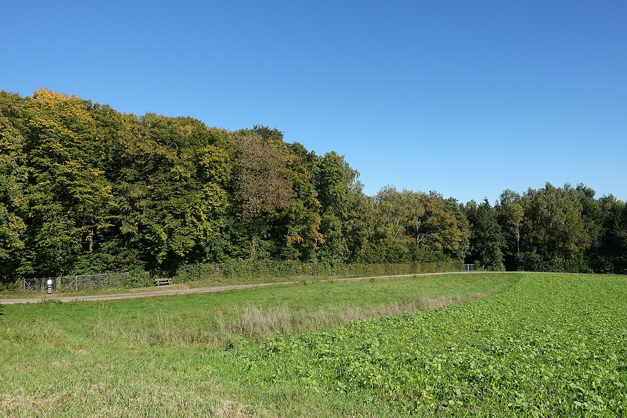 Naturschutzgebiet Mohn'scher Park von Südwesten
